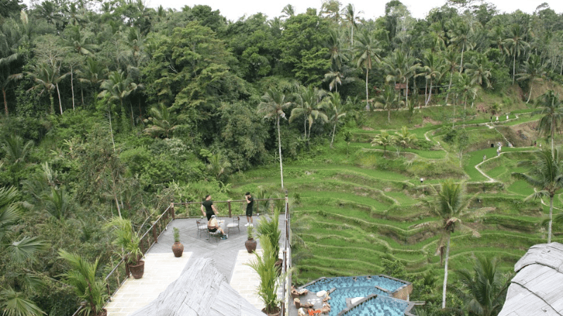 バリ島一人旅ウブドのライステラスを眺めるカフェ
