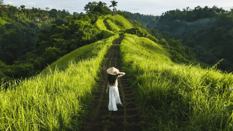 バリ島ウブドのテガララン・ライステラスを一人で散策する風景