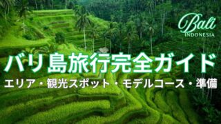 バリ島テガラランライステラスの棚田風景