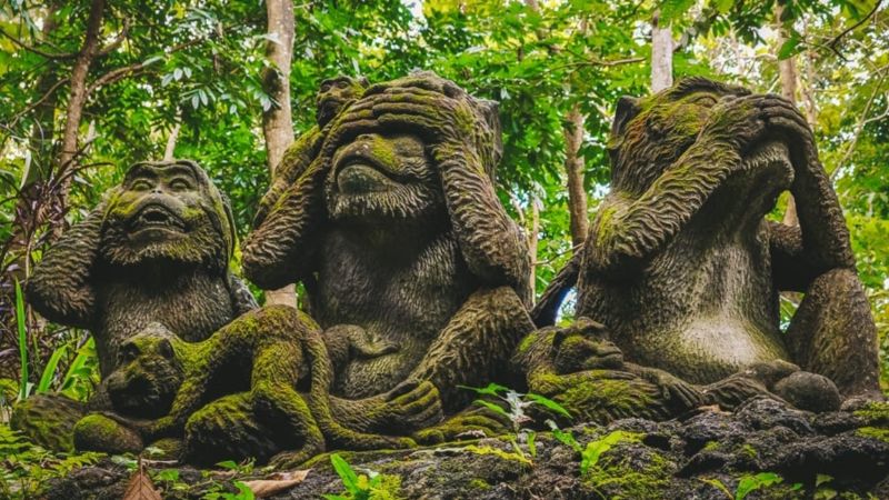 モンキーフォレストの猿の石像見猿、言わ猿る、聞か猿