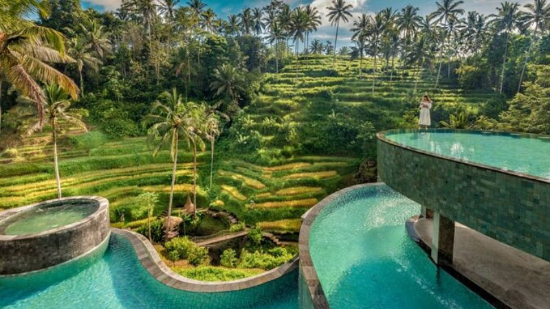 バリ島ウブドの棚田