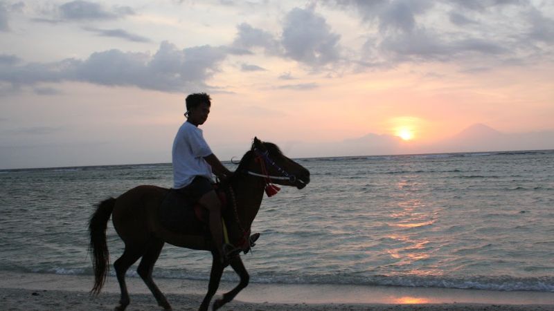 ギリ島の南国ビーチ