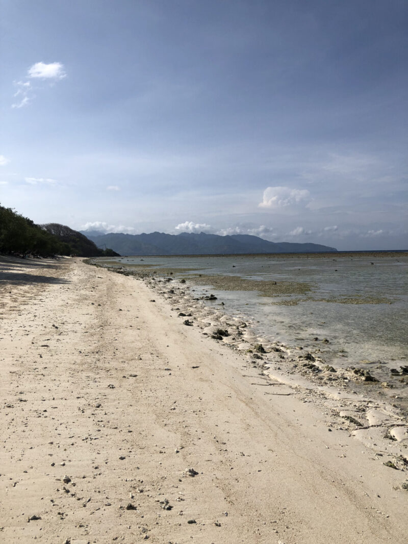 砂浜